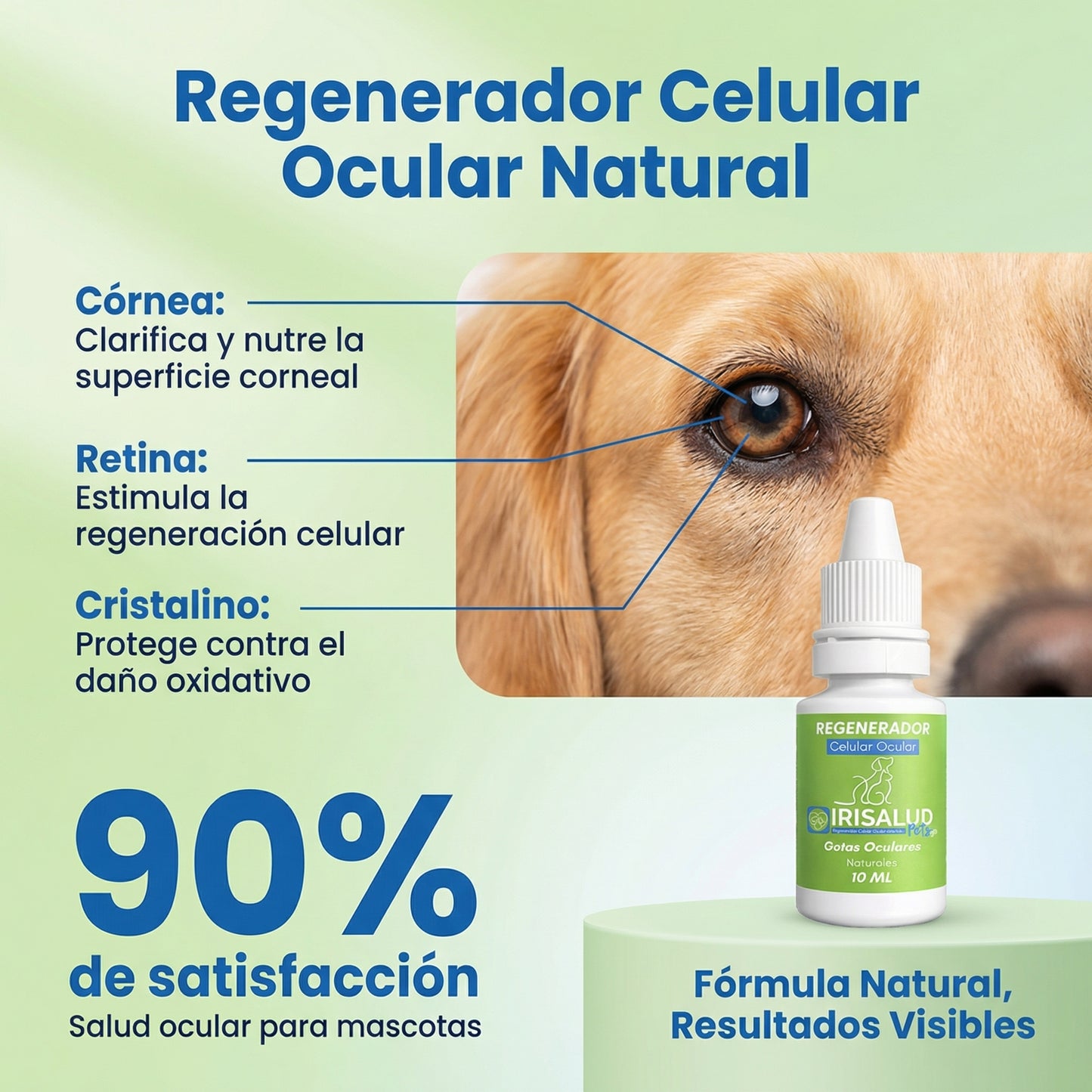 Irisalud Pets® – Regenerador Celular Ocular